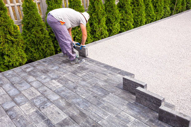 Best Driveway Pavers Near Me  in Shanor Northvue, PA